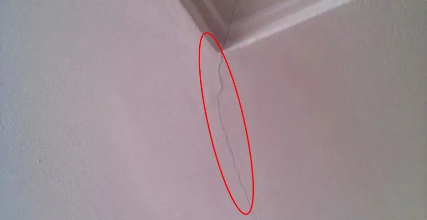 1653903660889709.png 1.png