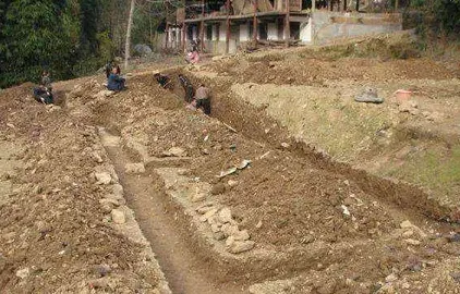 1655022962501922.png 4.png